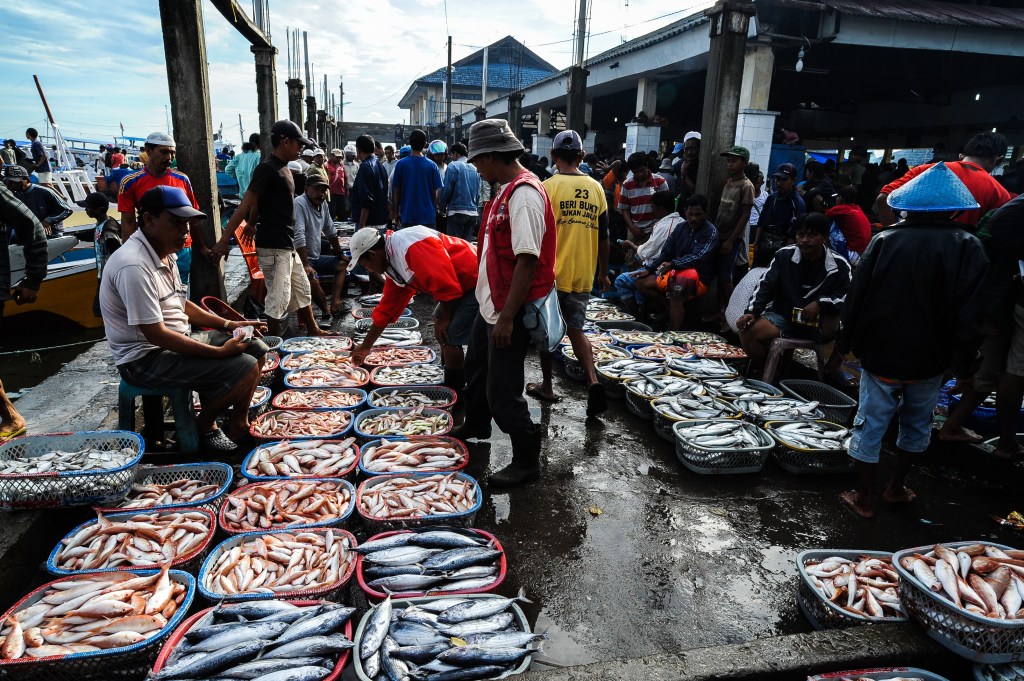 Empty Nets, Contested Seas: The Looming Crisis of Southeast Asia’s&nbsp;Fisheries