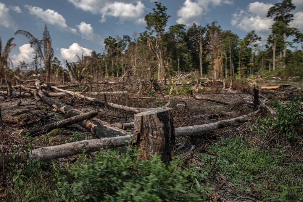 The Amazon Just Hit a Record Low for Deforestation and the World Owes Brazil a Check